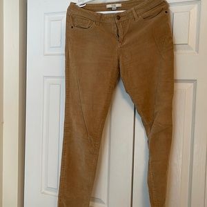 Forever 21 brown/tan skinny cords